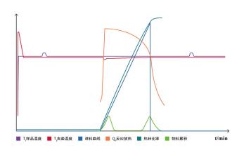 Automated Reaction Calorimeter