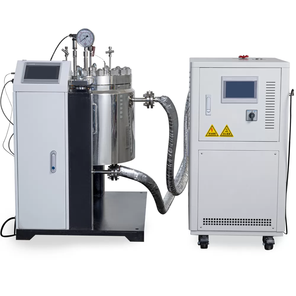 Supercritical Carbon Dioxide Reactor