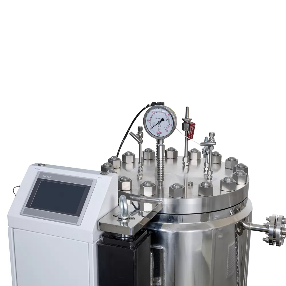 Supercritical Carbon Dioxide Reactor